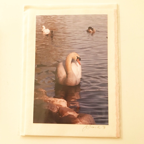 PHOTO GREETING CARDS - Picture 3 of 7